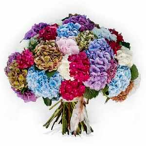 hydrangea_bouquet-turkey.jpg