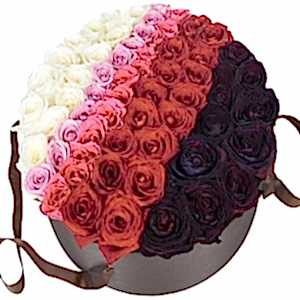 just-roses-hat-box-127366_1024x1024.jpg