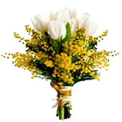 mazzo_di_tulipani_e_mimose.jpg
