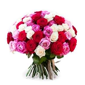 mix-colors-roses-turkey.jpg