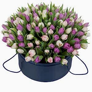 pink-and-purple-tulips-hat-box-799823.jpg