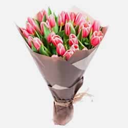 pink-tulips.jpg