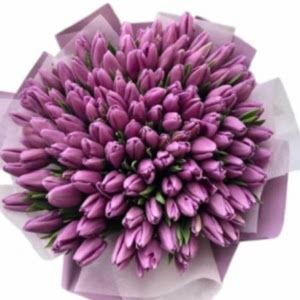purple-tulips-bouquet-393148_1024x1024.jpg