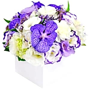 purple-vanda-and-lisianthus-signature-box-859139.jpg