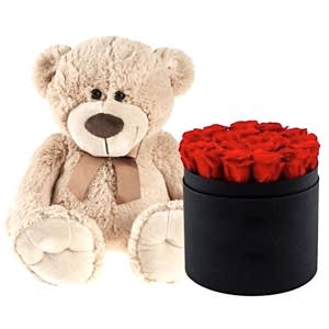 roses-box-and-teddy-bear-254408.jpg