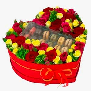spray-roses-and-macarons-box-825336_1024x1024.jpg