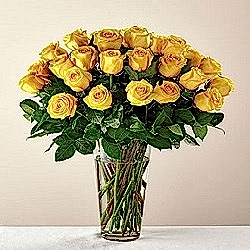 yellowroses.jpg